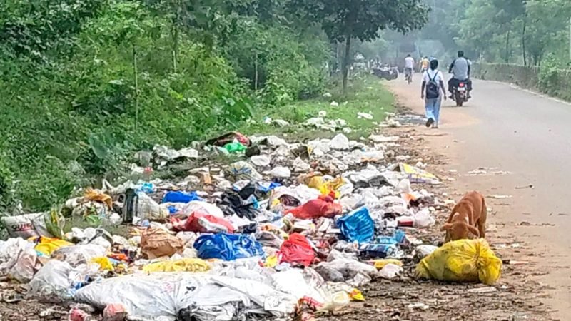 শহরের অভিজাত এলাকায় জমছে বর্জ্যের স্তূপ