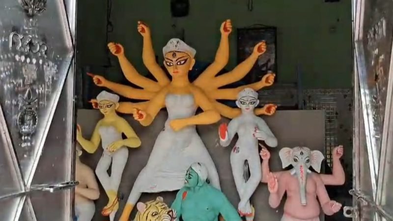 ২১৭ বছরের ঐতিহ্য! ব্যাঘ্রবাহিনী রূপে পূজিত হন মদনপুর জমিদারবাড়ির দুর্গা